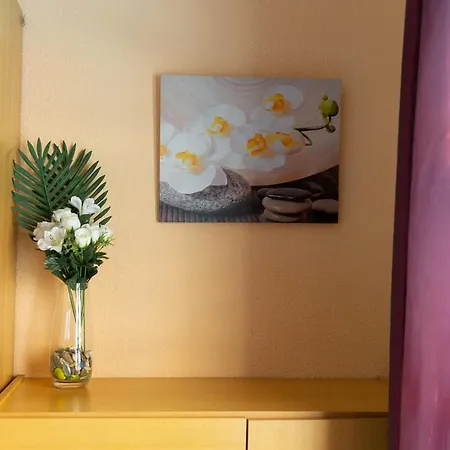 Estudio Plaza San Cristobal Apartment Alicante